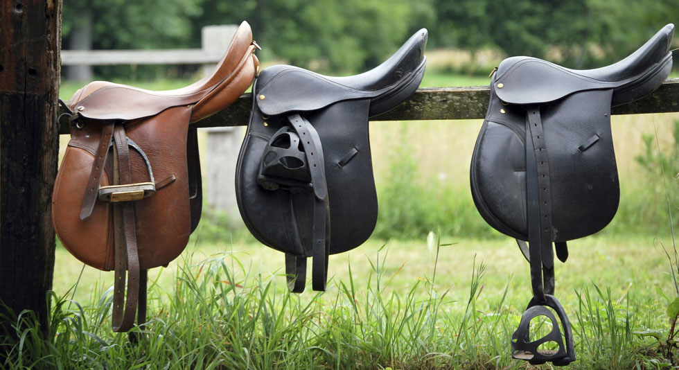 equitazione